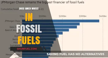 Amex's Fossil Fuel Investments: Ethical or Not?