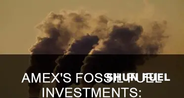 does amex invest in fossil fuels