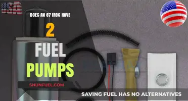 Does the 1987 IROC-Z Camaro Feature Dual Fuel Pumps?
