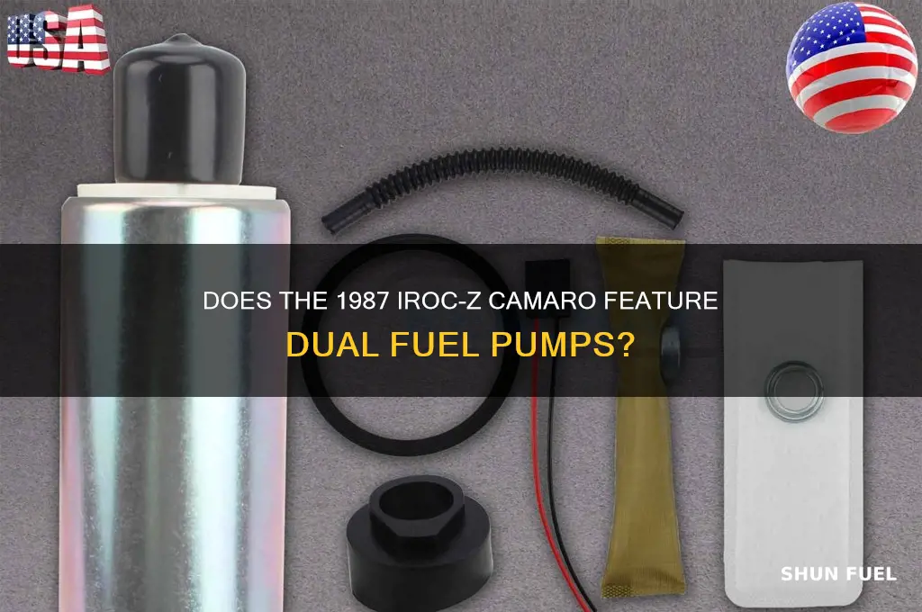 does an 87 iroc have 2 fuel pumps