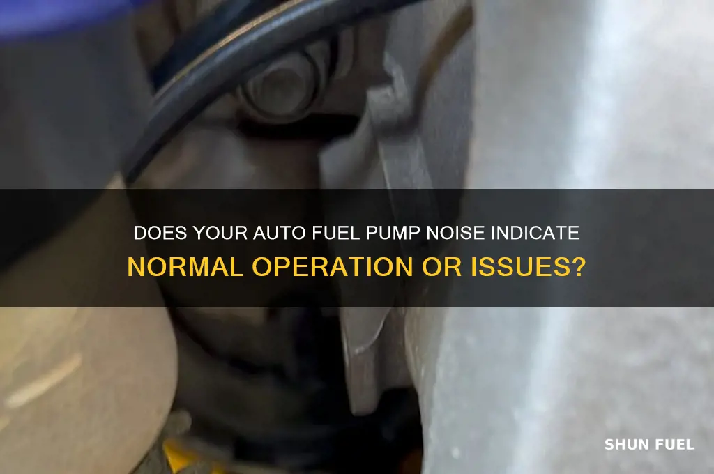 does an auto fuel pump make a noise when working