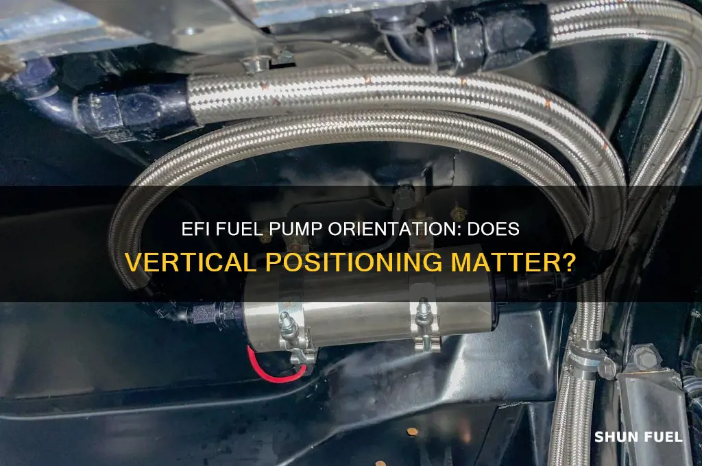 does an efi fuel pump need to be vertical