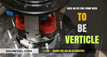 EFI Fuel Pump Orientation: Does Vertical Positioning Matter?