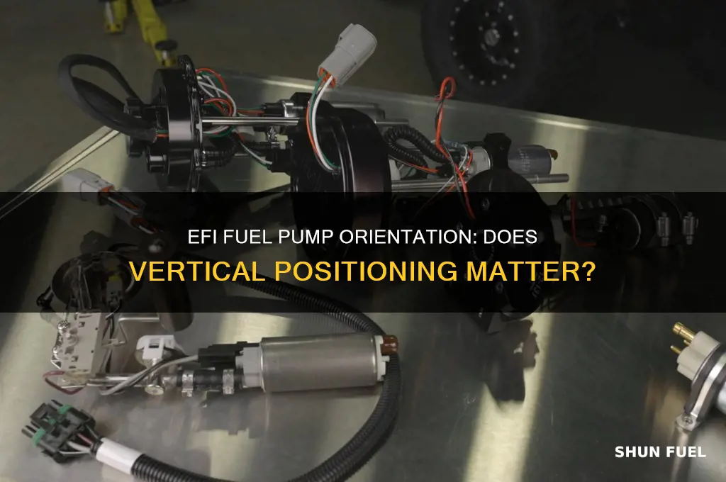 does an efi fuel pump need to be verticle