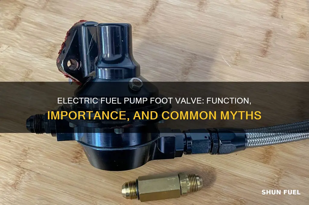 does an electric fuel pump have a foot valve