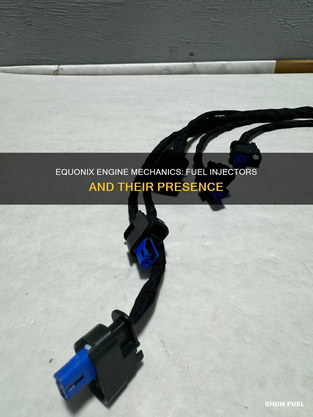 does an equonix have fuel injectors