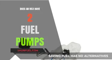 Does the BMW E46 M3 R53 Feature Dual Fuel Pumps?