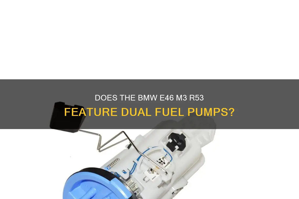 does an r53 have 2 fuel pumps