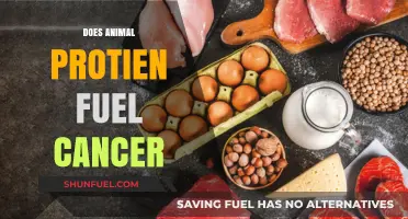 Animal Protein and Cancer: Unraveling the Link to Fuel Tumor Growth