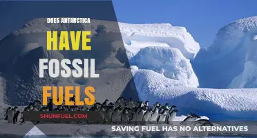Antarctica's Fossil Fuel Potential: What's the Reality?