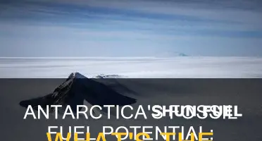 does antarctica have fossil fuels