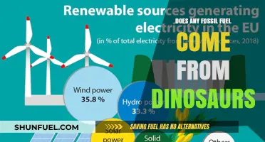 Fossil Fuels: Dinosaurs' Legacy or Misconception?