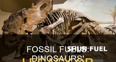 does any fossil fuel come from dinosaurs