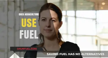 Aquaculture and Fuel: Uncovering Energy Use in Fish Farming
