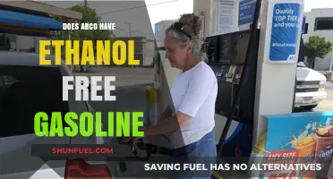Exploring Arco's Fuel Options: Ethanol-Free Gasoline Availability