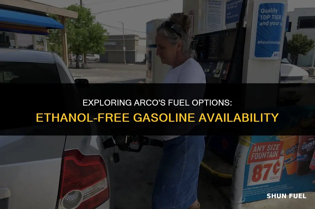 does arco have ethanol free gasoline