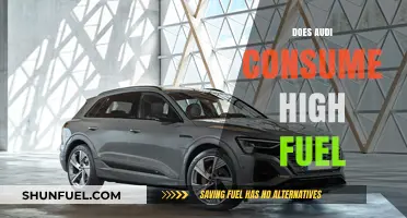 Audi Fuel Efficiency: Debunking High Consumption Myths and Facts
