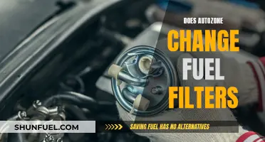 Fuel Filter Change: Can AutoZone Help?