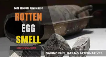 Can a Faulty Fuel Pump Cause a Rotten Egg Smell?