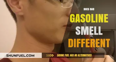 Does Bad Gasoline Smell Different? Exploring Fuel Quality and Odors