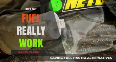 Does Bait Fuel Actually Work? Uncovering the Truth Behind the Hype