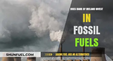 Bank of Ireland's Fossil Fuel Investments: What You Need Know