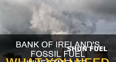 does bank of ireland invest in fossil fuels