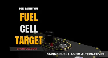 Batteryman Fuel Cell Target: Analyzing Its Viability and Market Potential