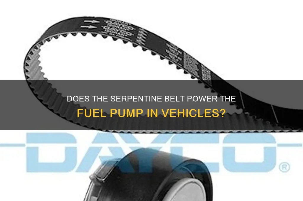 does belt run the fuel pump