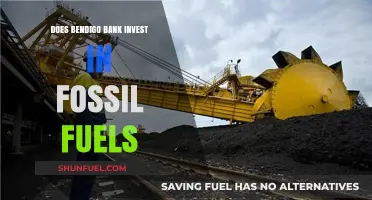 Bendigo Bank's Fossil Fuel Investments: Where Does the Money Go?