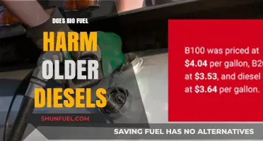 Biofuel and Older Diesels: A Harmful Mix?
