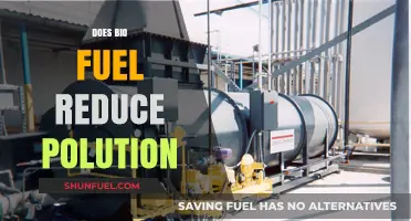 Biofuel's Impact: Reducing Pollution or Just a Green Myth?