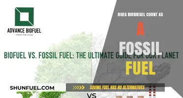 Biodiesel: Fossil Fuel or Not?