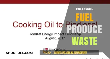 Biodiesel Fuel Waste: Environmental Impact and Sustainable Solutions Explored