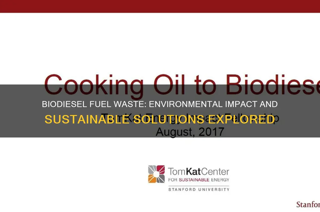 does biodiesel fuel produce waste