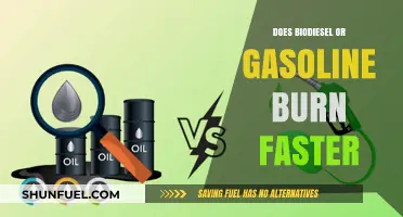 Exploring Fuel Efficiency: Biodiesel vs Gasoline Burn Rates