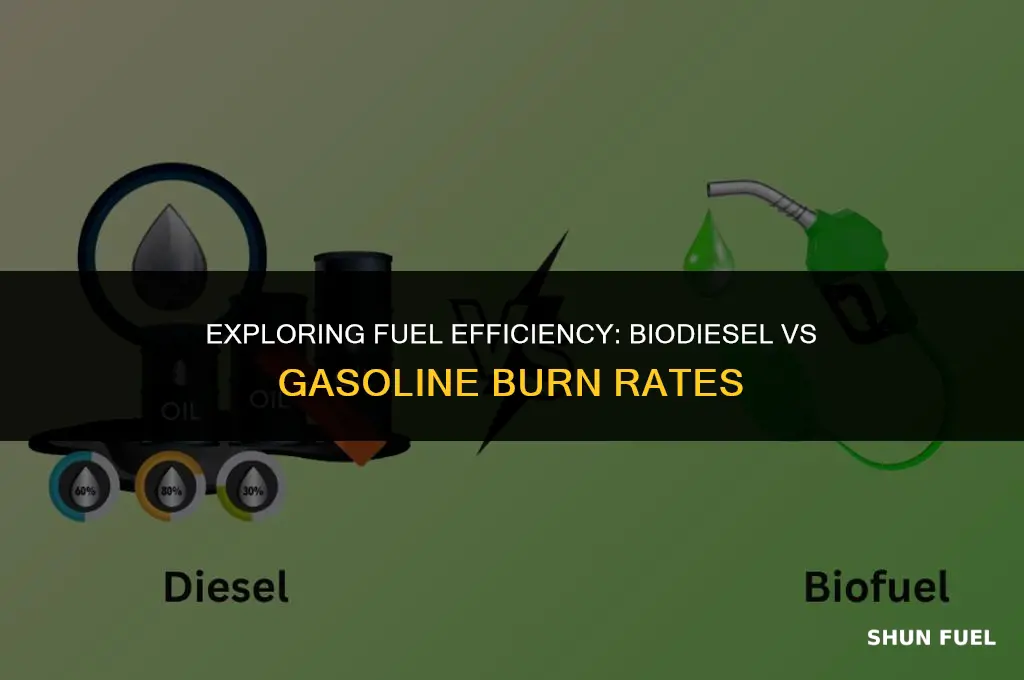 does biodiesel or gasoline burn faster