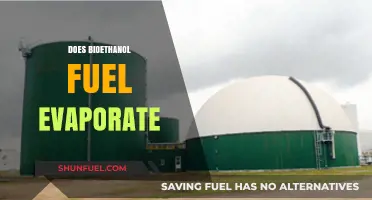 Does Bioethanol Fuel Evaporate? Understanding Its Volatility and Storage