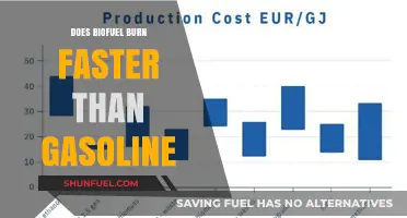 Exploring the Combustion Rates: Biofuel vs Gasoline