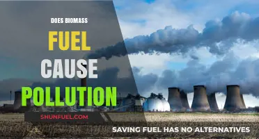 Biomass Fuel and Pollution: Environmental Impact and Sustainability Concerns