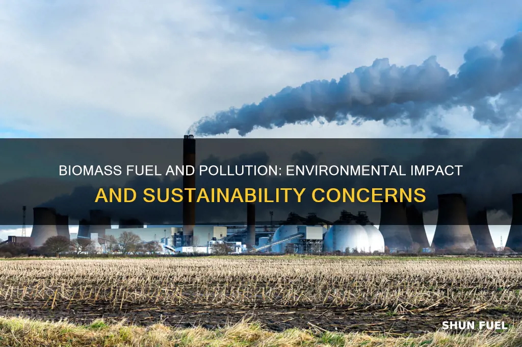 does biomass fuel cause pollution