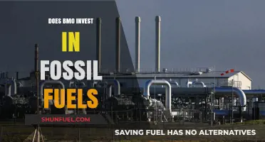 BMO's Fossil Fuel Investments: What You Need to Know