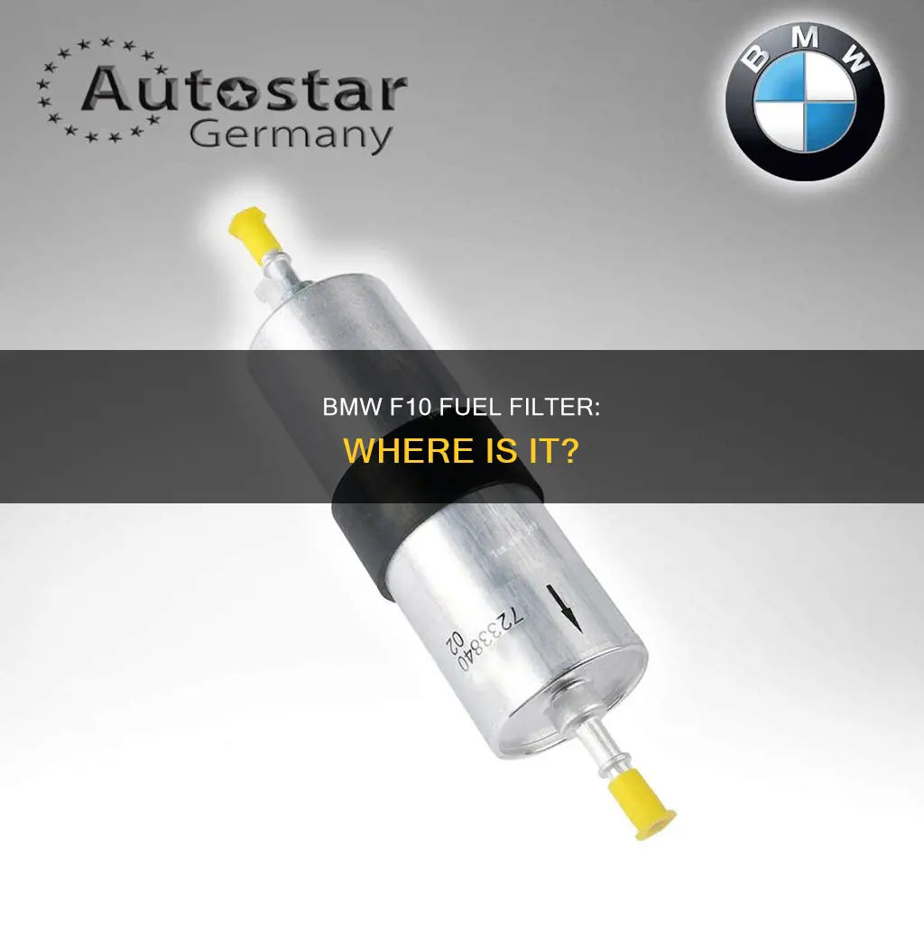 does bmw f10 have a fuel filter