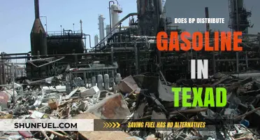 Exploring BP's Gasoline Distribution Network in Texas: A Comprehensive Overview
