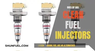 BP Gas: Cleaning Fuel Injectors?