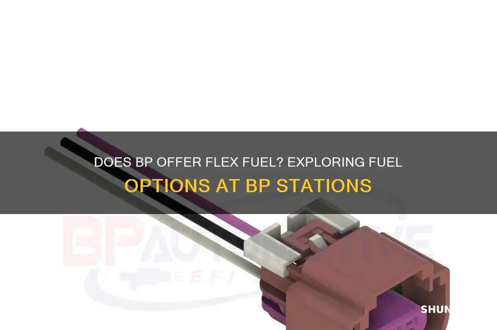 does bp have flex fuel