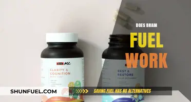 Does Brain Fuel Work? Unlocking Cognitive Potential with Smart Supplements