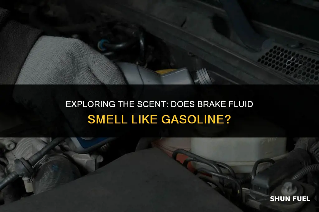 does brake fluid smell like gasoline