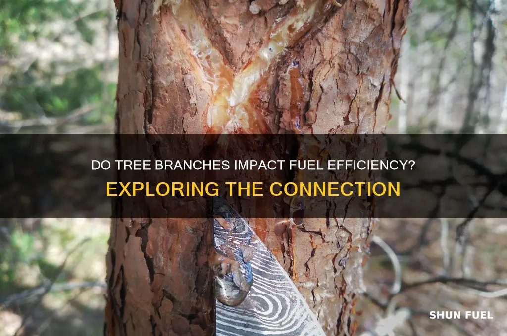 does branches increase fuel consumption