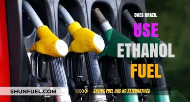 Brazil's Ethanol Fuel Revolution: A Sustainable Energy Alternative Explained